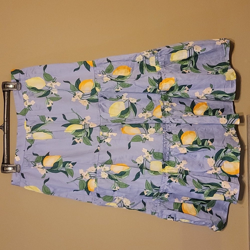NWOT!!! Ann Taylor Blue Lemon Floral Print Bohemian Midi Skirt az 6